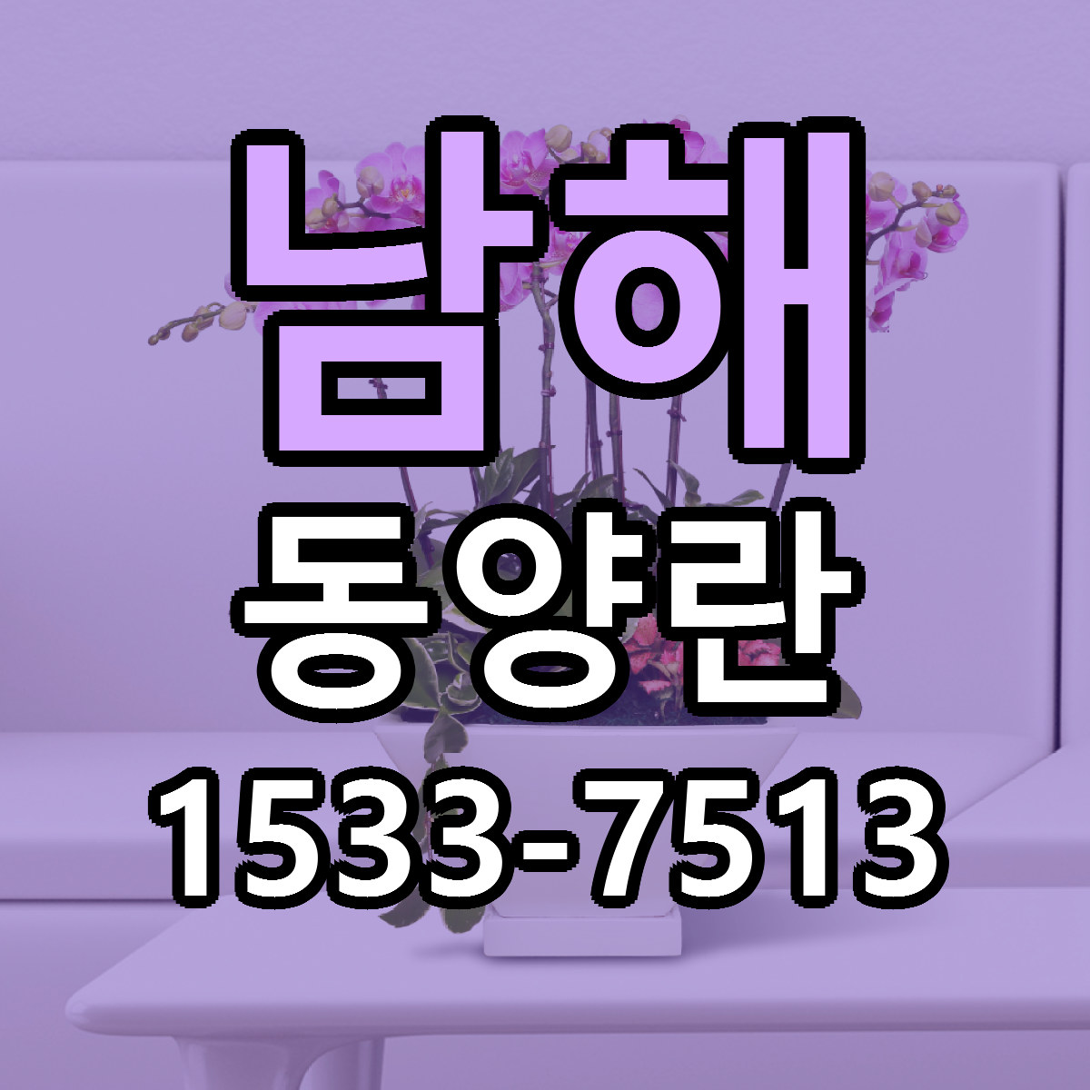 남해 동양란 당일배송 싼곳 리본문구 안내