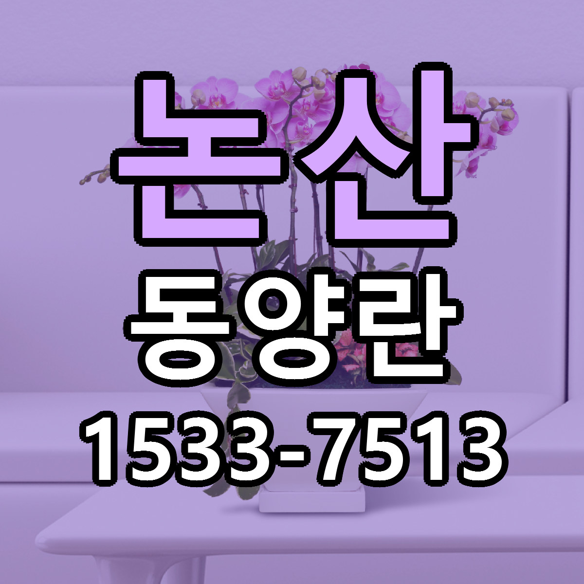 논산 동양란 근처꽃집 당일배송 싼곳 추천