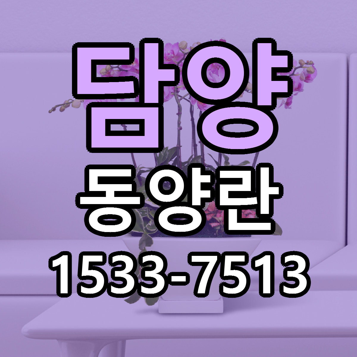 담양 동양란 근처꽃집 빠른배송 가격 문의
