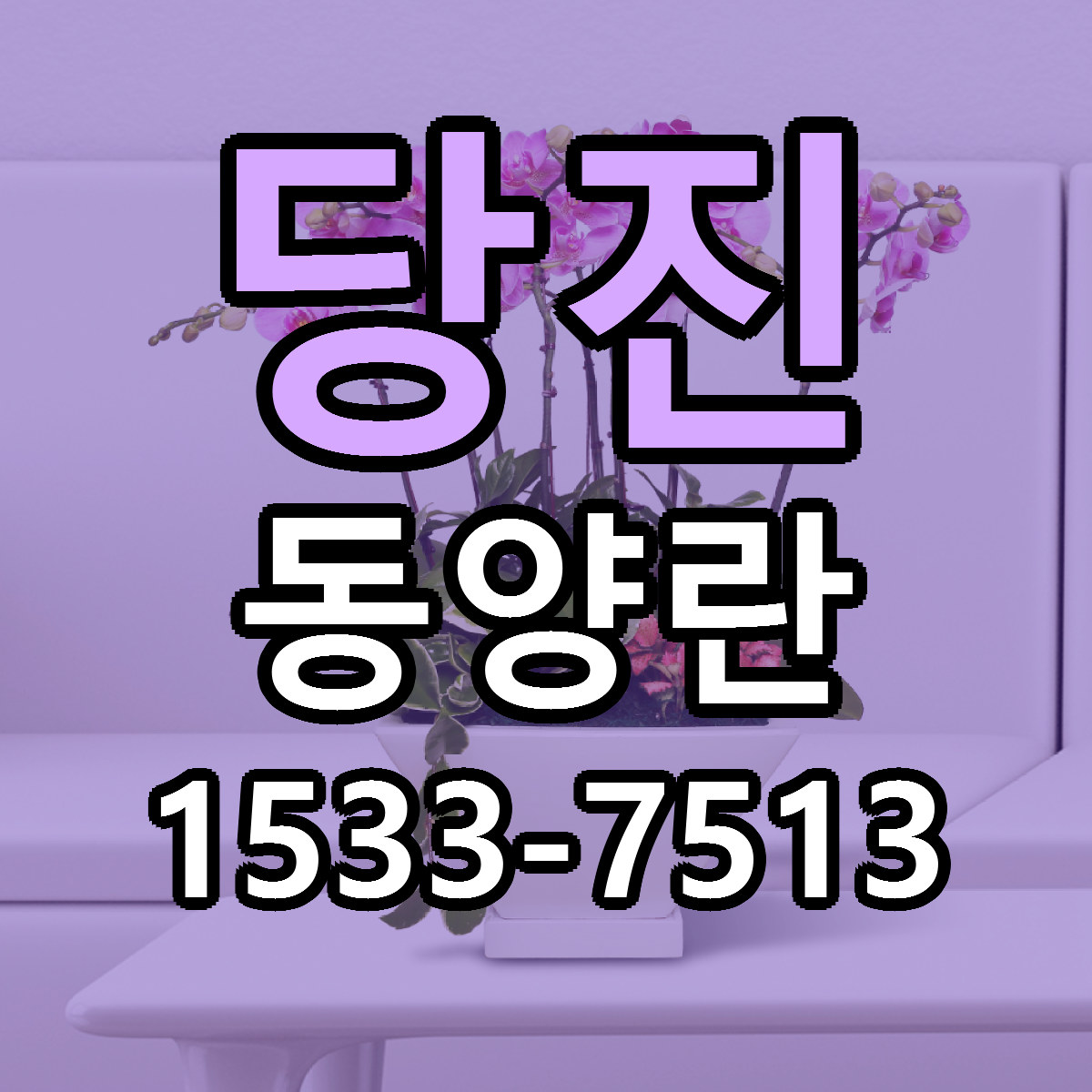 당진 동양란 근처꽃집 빠른배송 가격 문의