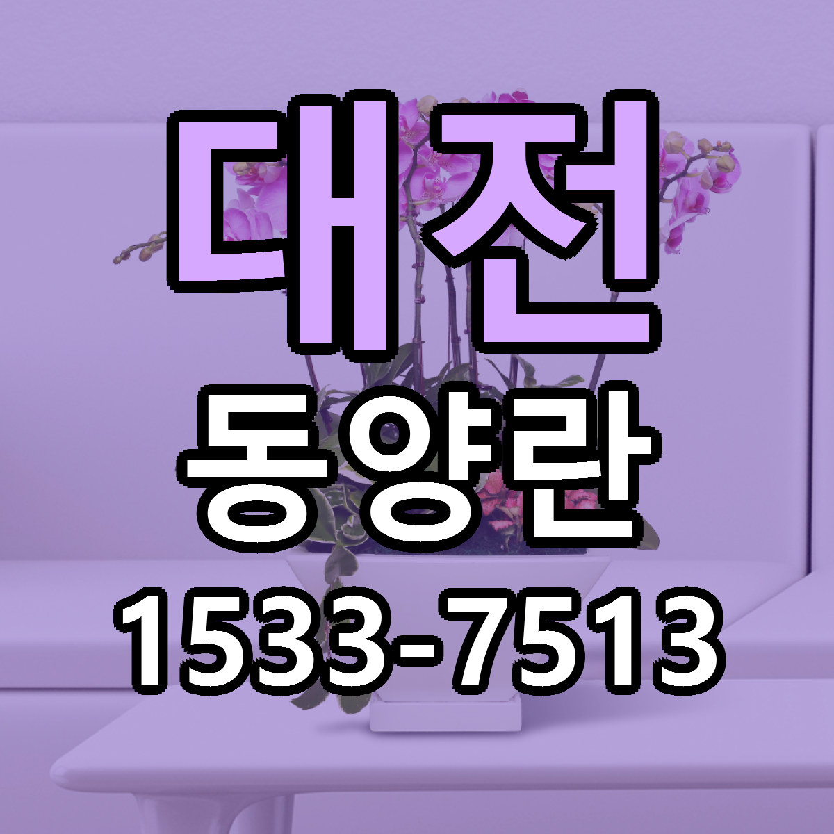 대전 동양란 싼곳 당일배송 리본문구 작성
