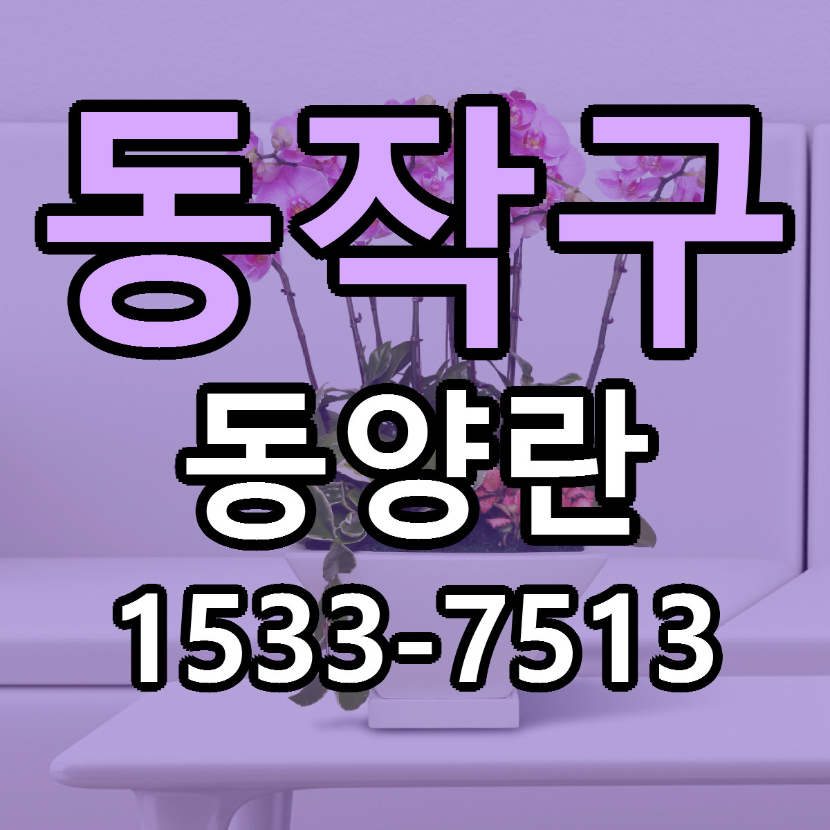 동작구 동양란 싼곳 당일배송 리본문구 작성