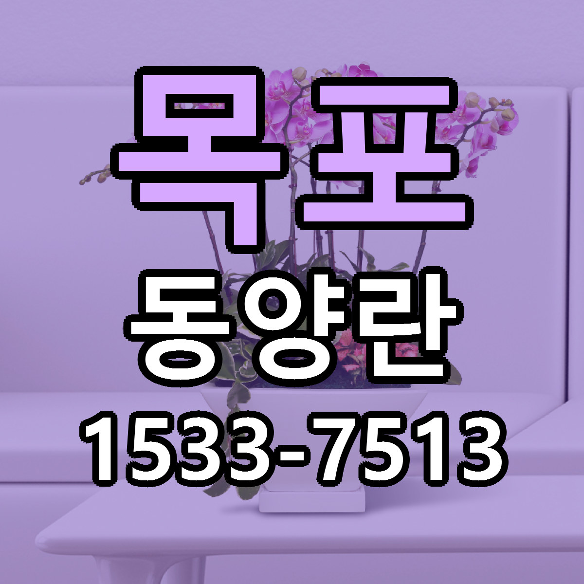 목포 동양란 빠른배송 리본문구 근처꽃집 예약