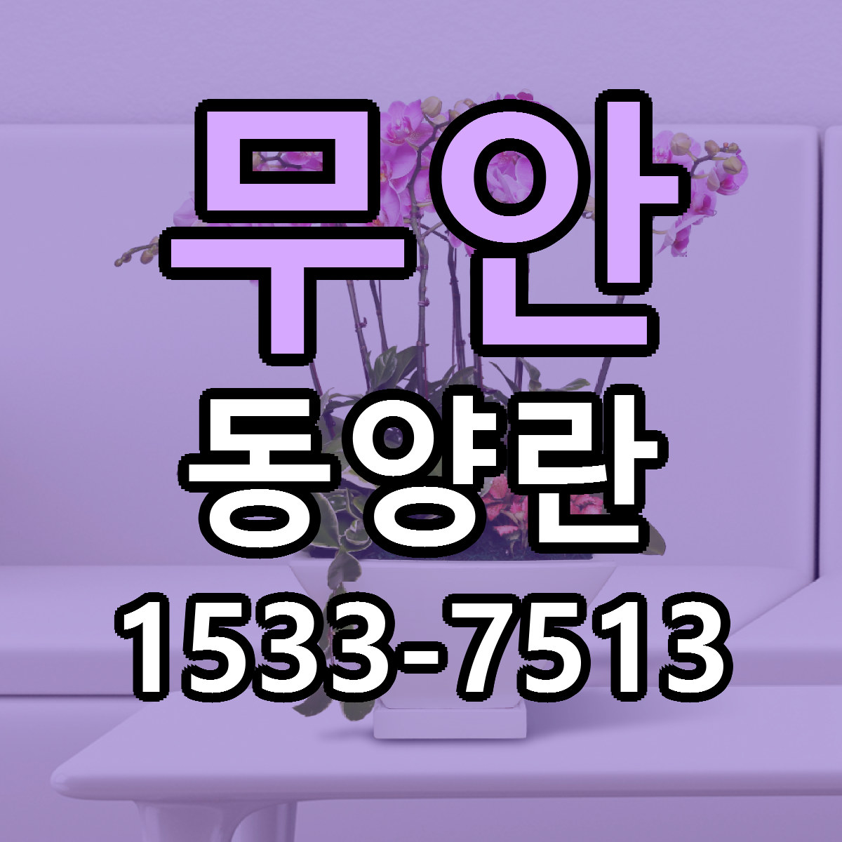무안 동양란 당일배송 싼곳 리본문구 안내