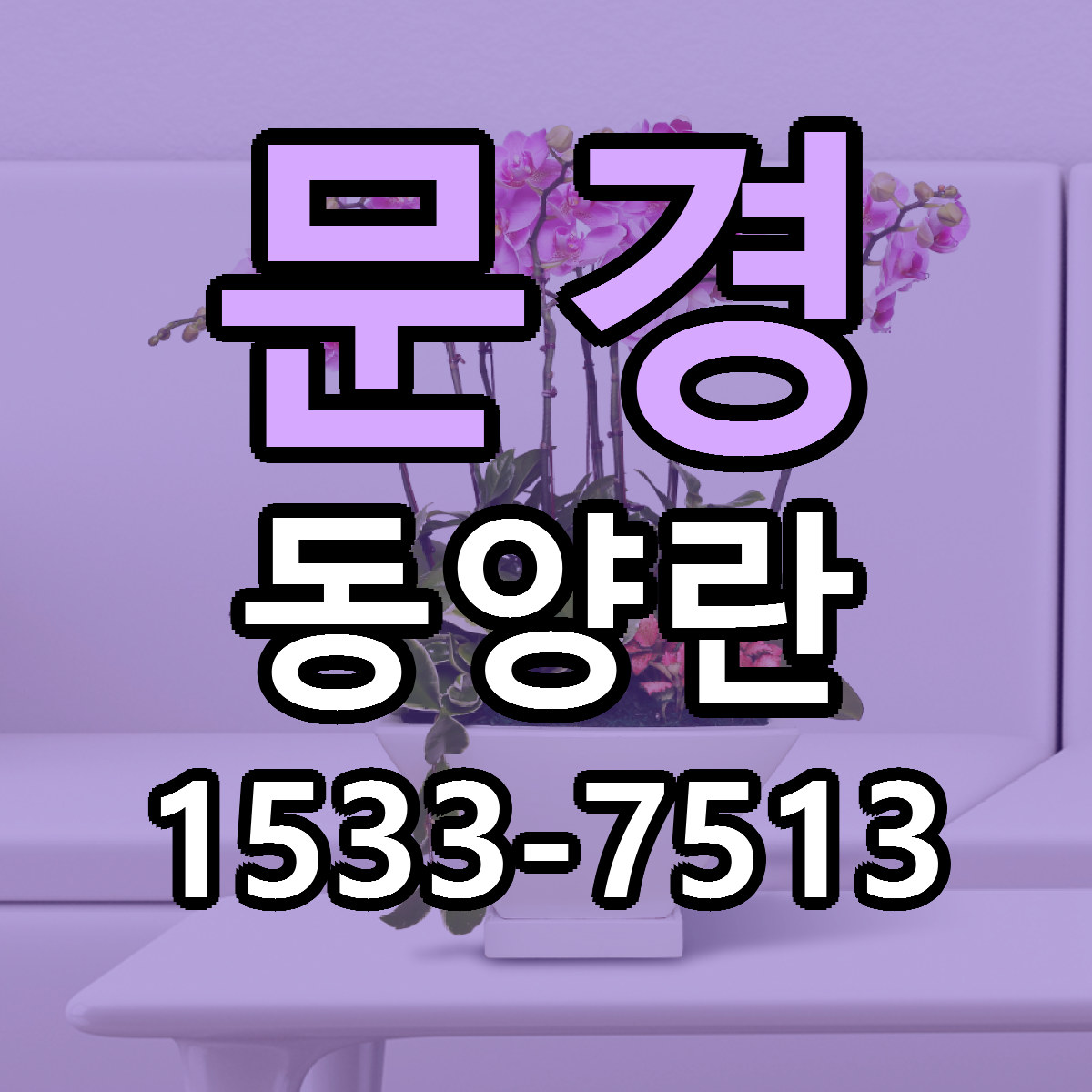 문경 동양란 근처꽃집 가격 저렴한곳 안내