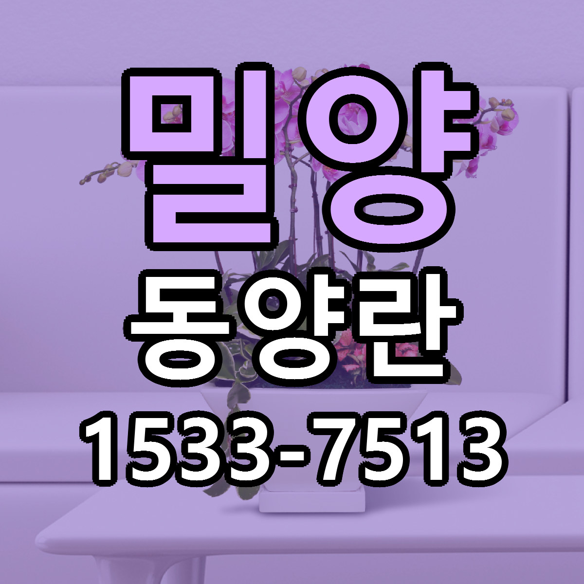 밀양 동양란 근처꽃집 싼곳 빠른배송 안내