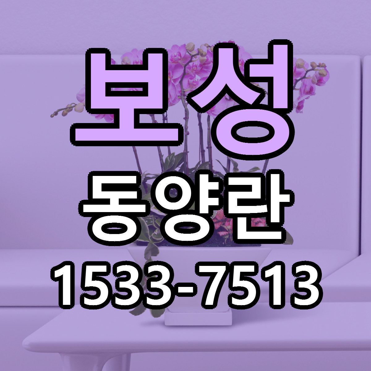 보성 동양란 근처꽃집 빠른배송 가격 문의