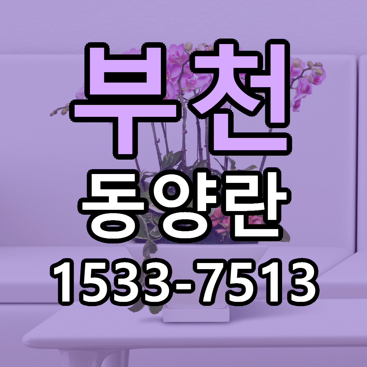 부천 동양란 근처꽃집 당일배송 리본문구 서비스