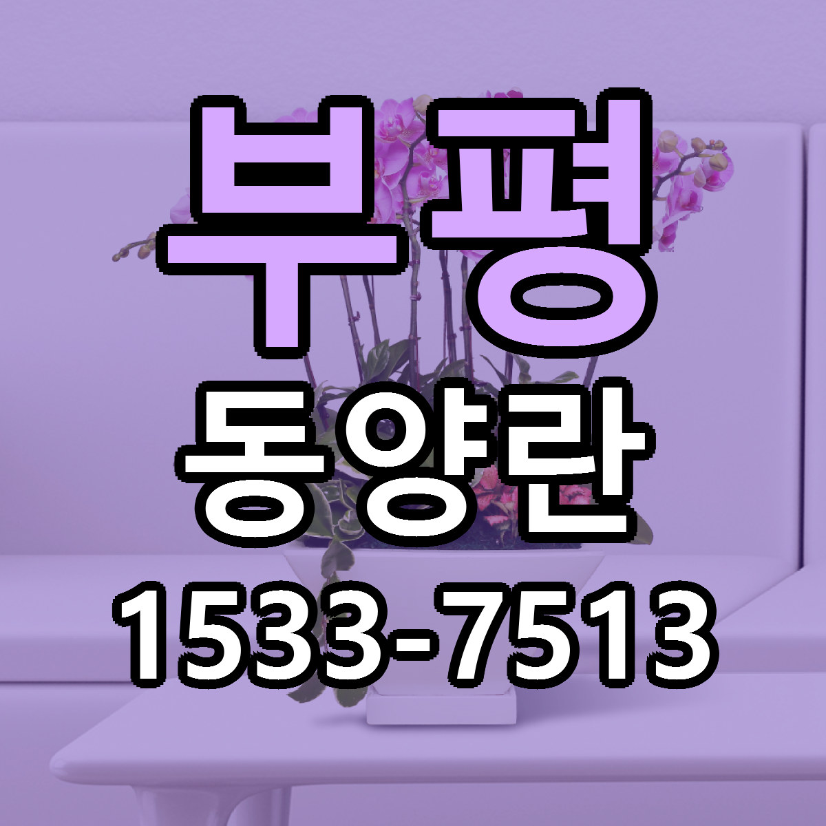 부평 동양란 근처꽃집 저렴한곳 빠른배송 서비스