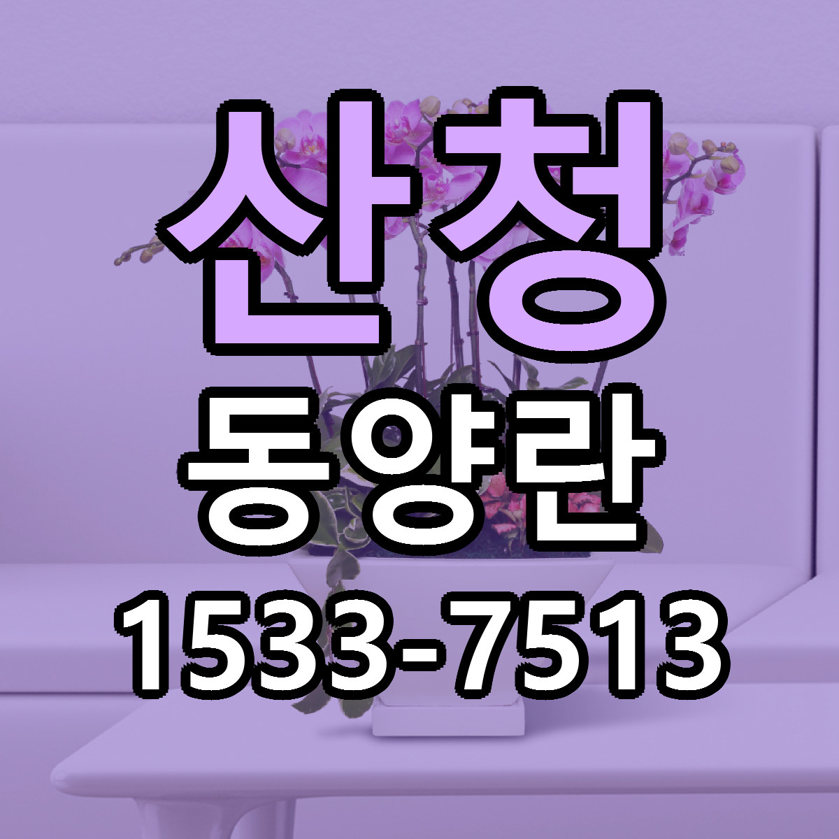 산청 동양란 빠른배송 리본문구 가격 알뜰 비교