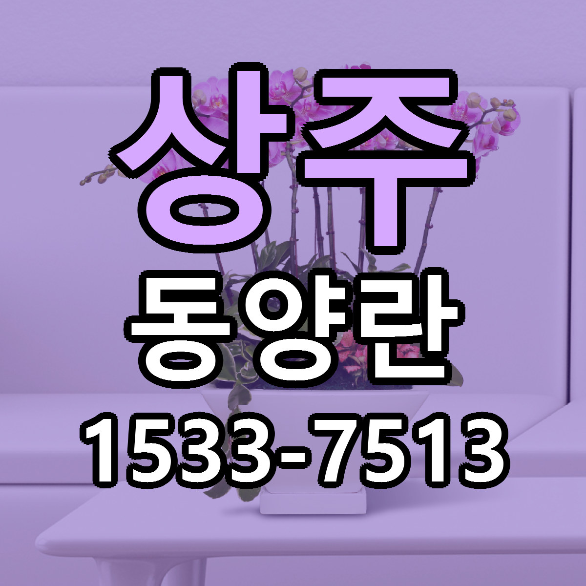상주 동양란 빠른배송 근처꽃집 가격 비교