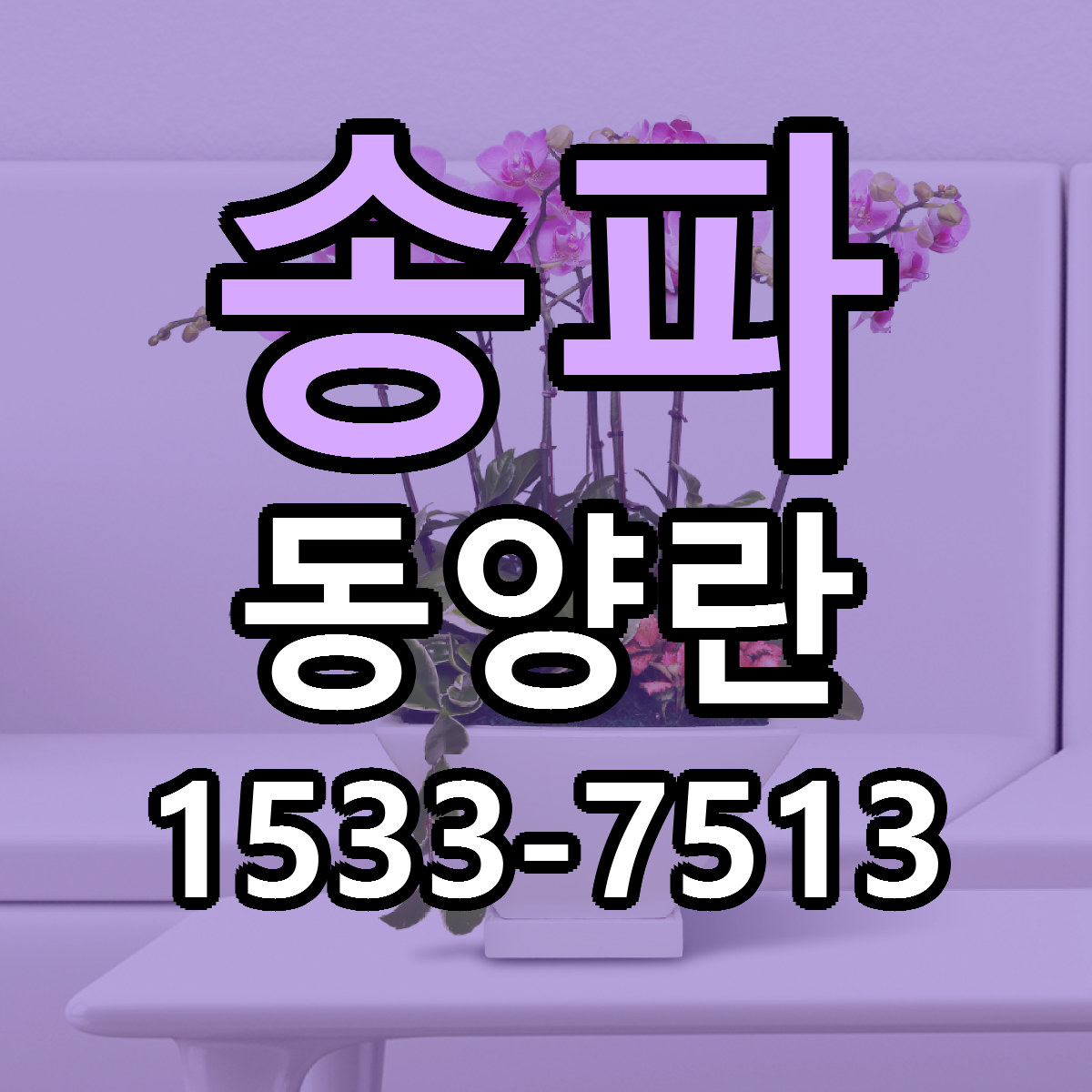송파 동양란 리본문구 근처꽃집 저렴한곳 예약