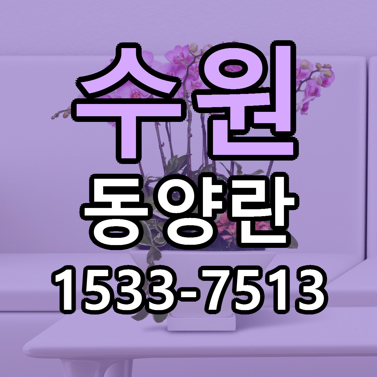수원 동양란 싼곳 당일배송 리본문구 작성