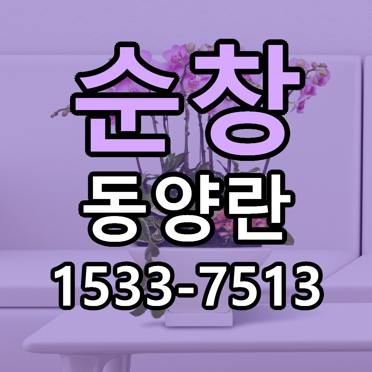 순창 동양란 리본문구 근처꽃집 저렴한곳 예약