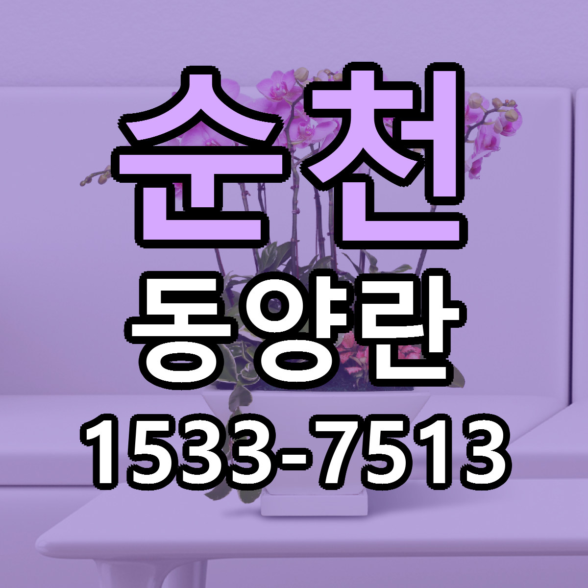 순천 동양란 당일배송 저렴한곳 리본문구 추천