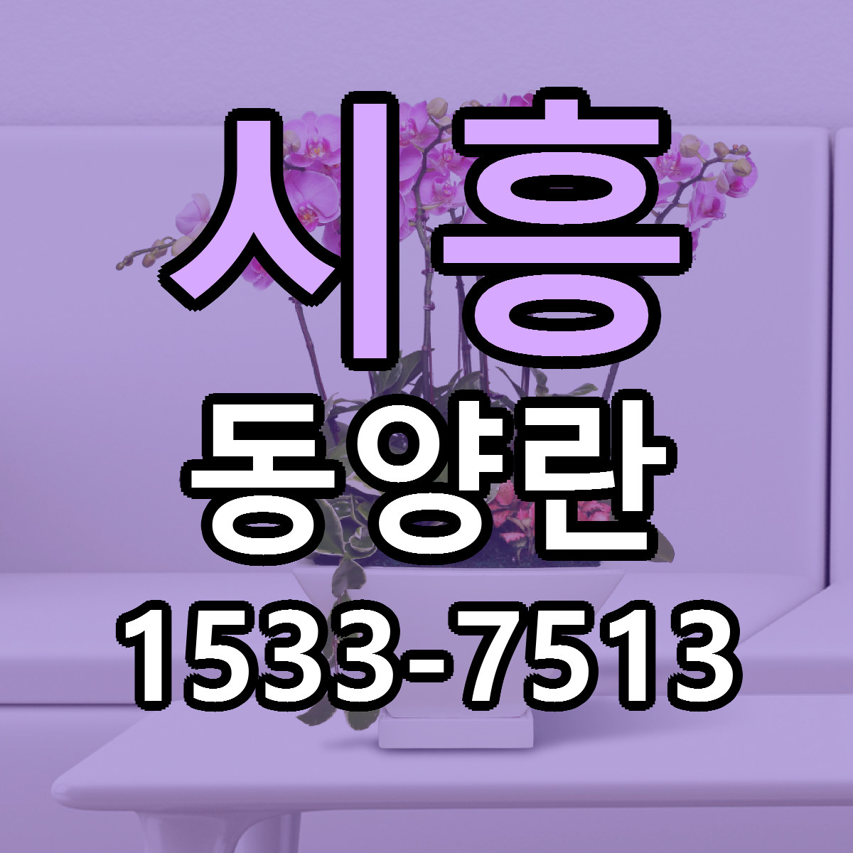 시흥 동양란 근처꽃집 저렴한곳 빠른배송 서비스