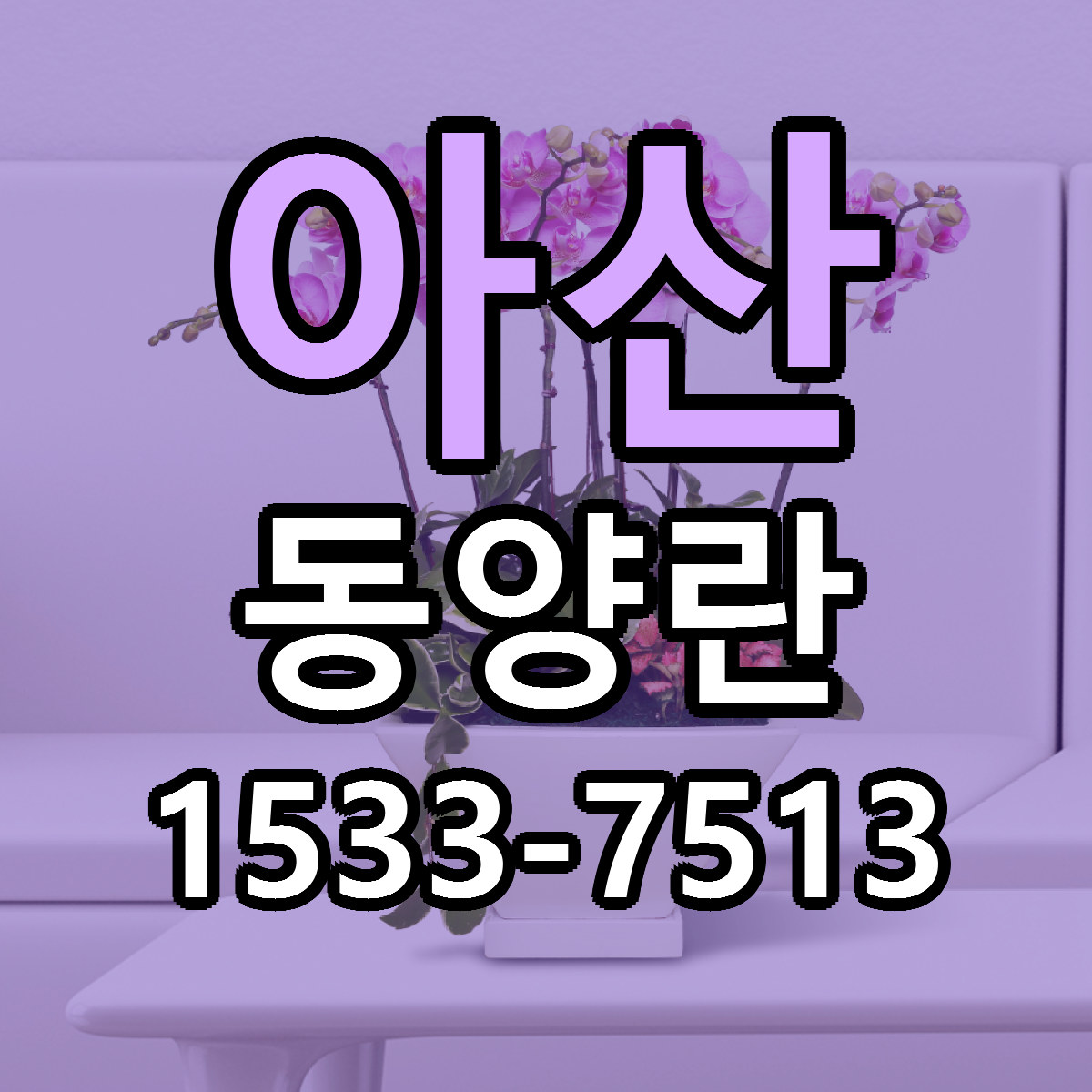 아산 동양란 근처꽃집 당일배송 리본문구 서비스