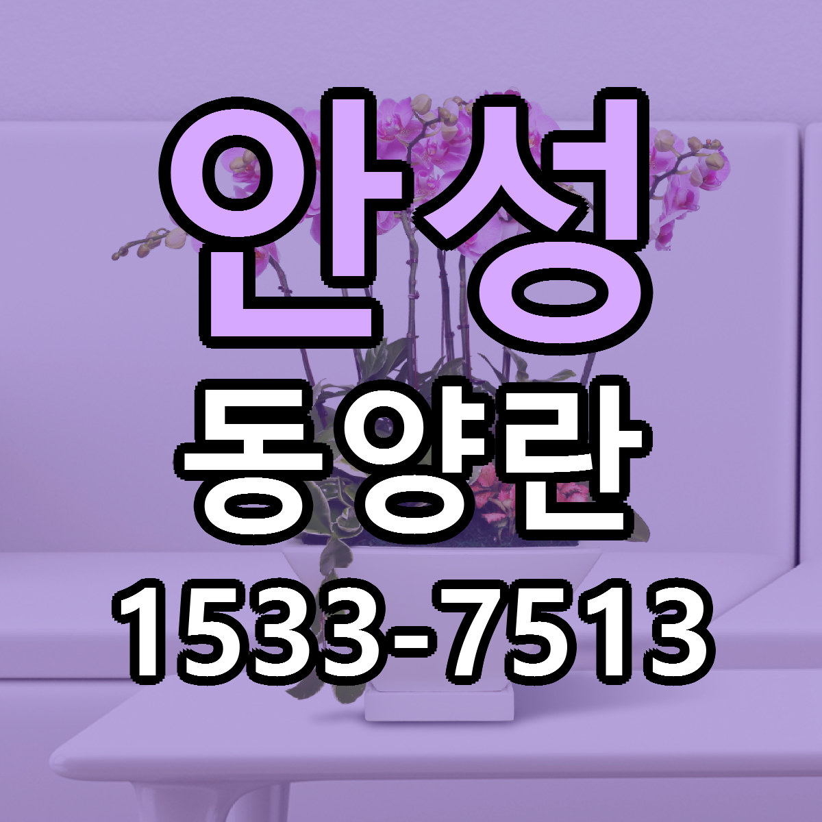 안성 동양란 리본문구 싼곳 빠른배송 예약