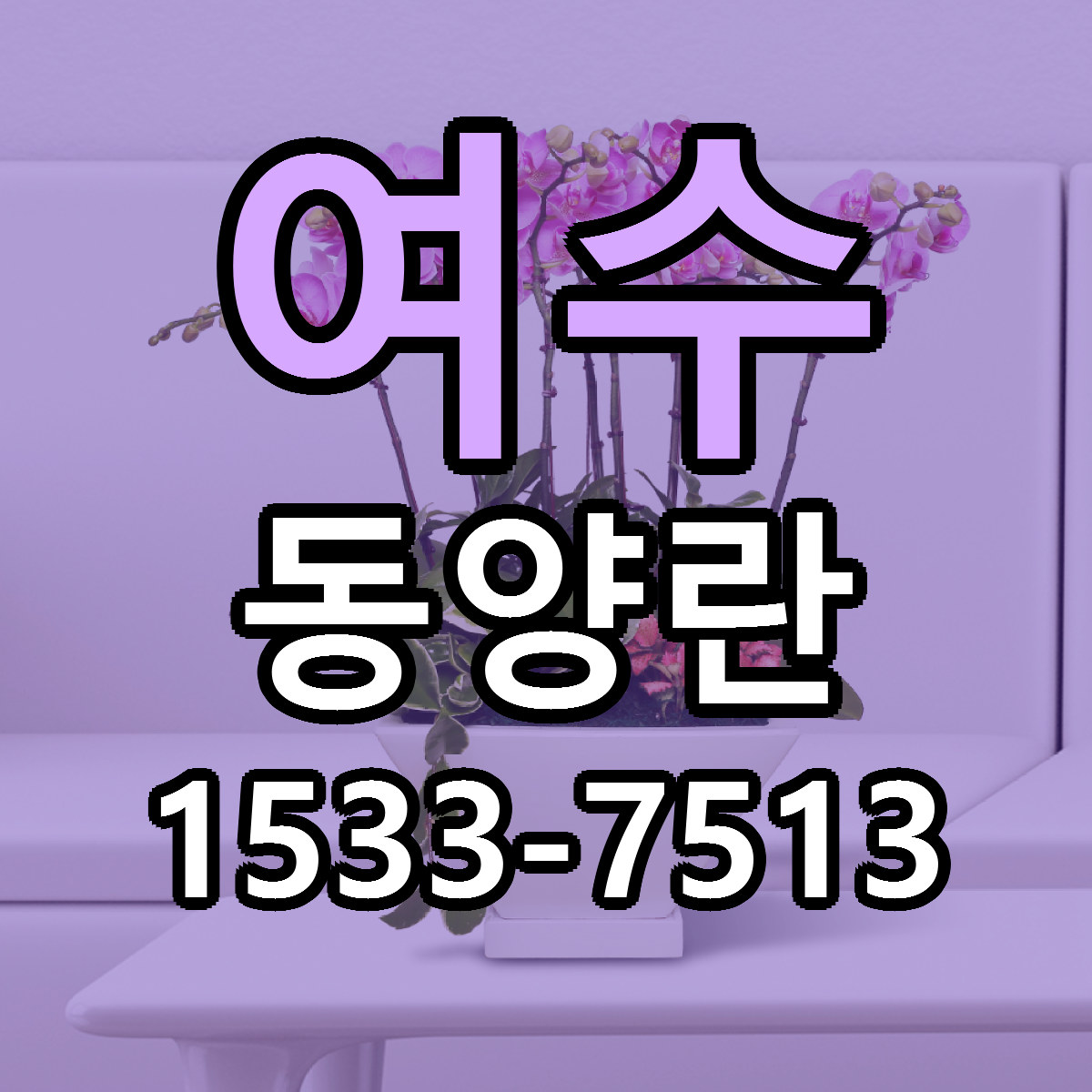 여수 동양란 싼곳 당일배송 빠른배송 추천