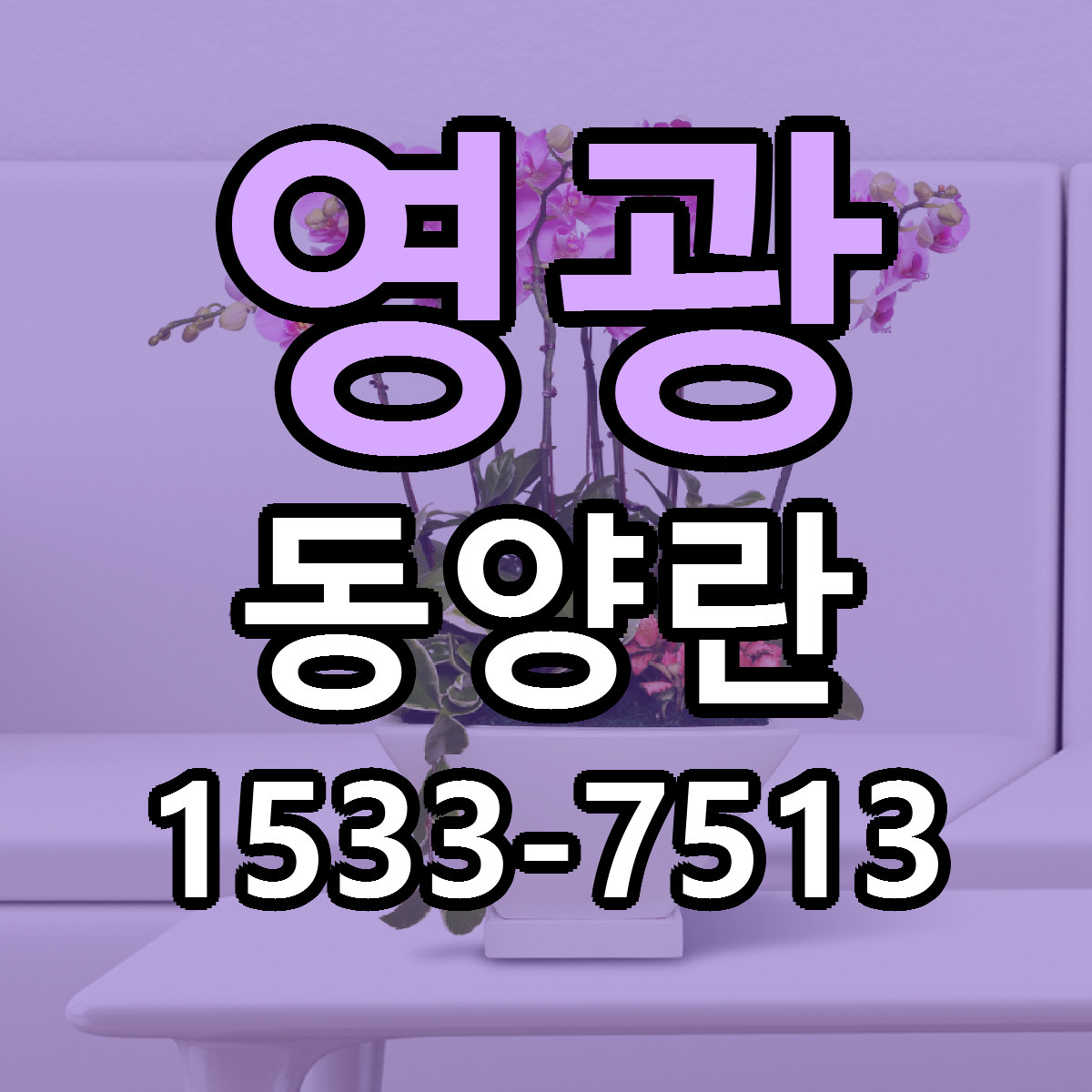 영광 동양란 당일배송 싼곳 리본문구 안내