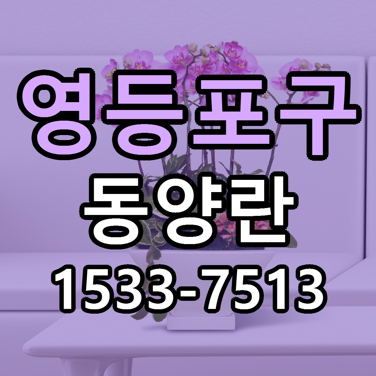 영등포구 동양란 당일배송 싼곳 리본문구 안내