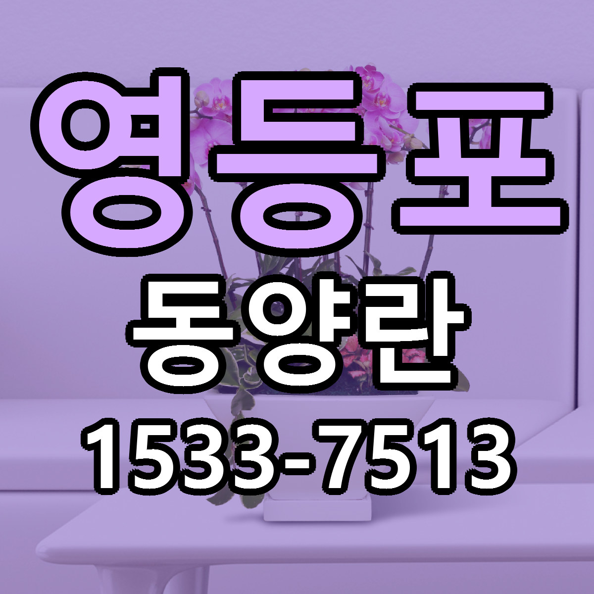 영등포 동양란 근처꽃집 당일배송 싼곳 추천