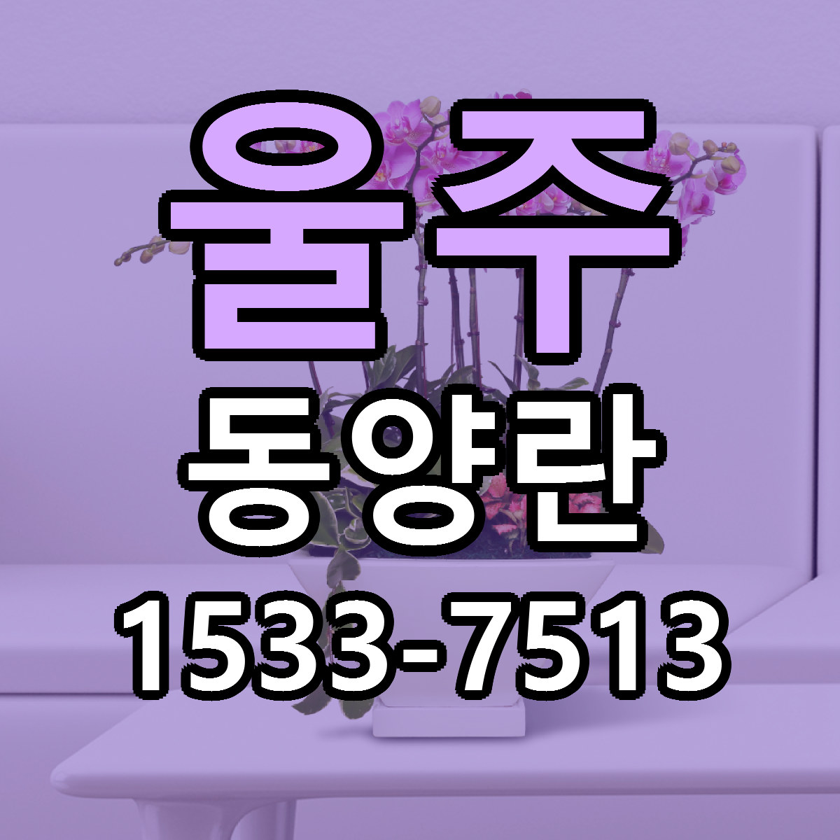 울주 동양란 싼곳 당일배송 리본문구 작성