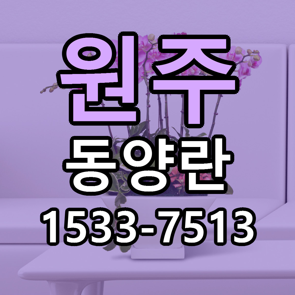 원주 동양란 근처꽃집 당일배송 리본문구 서비스