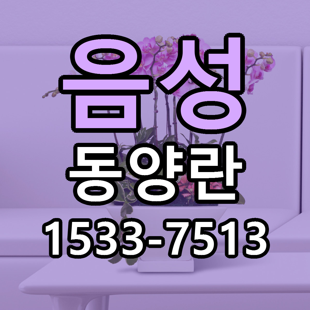 음성 동양란 리본문구 근처꽃집 저렴한곳 예약