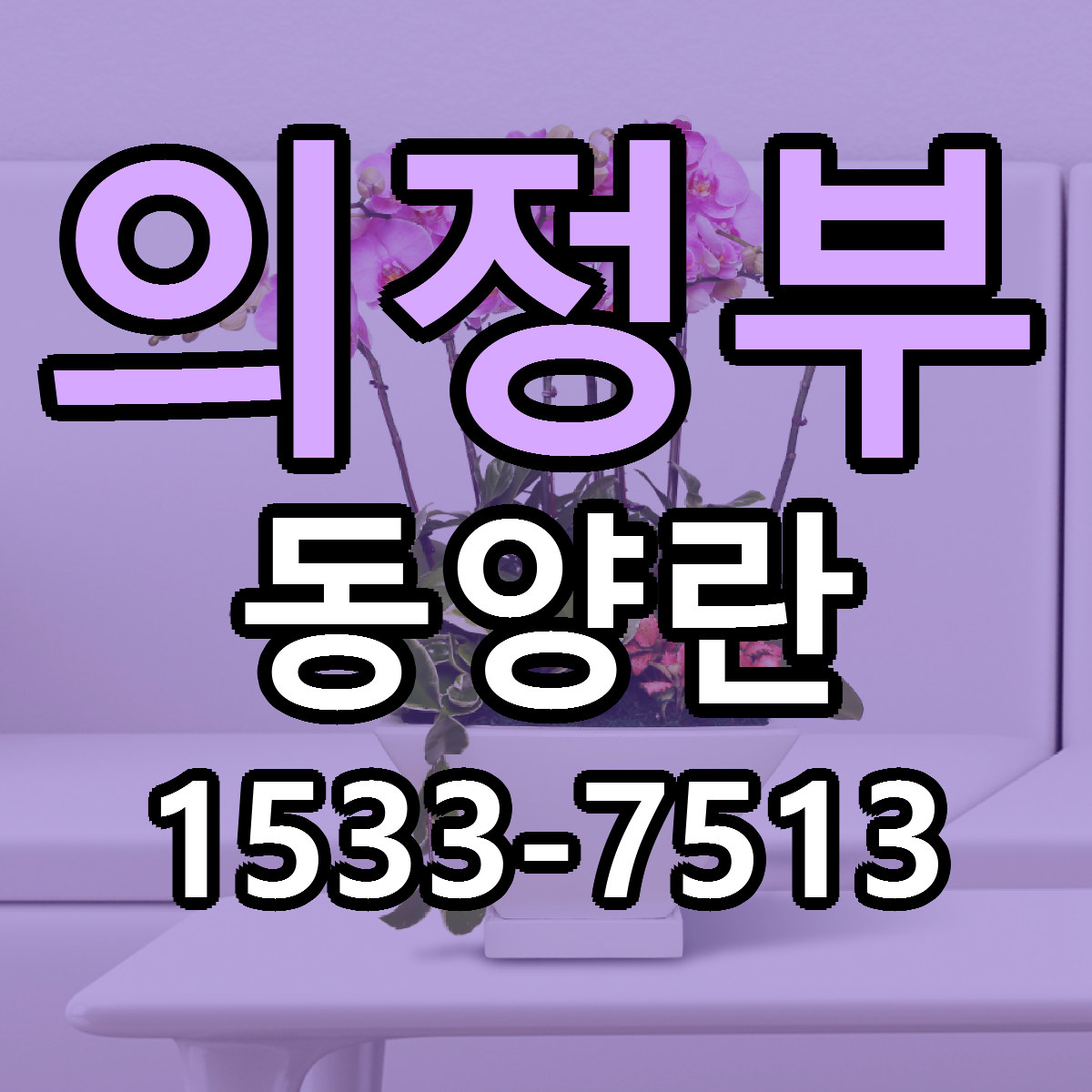 의정부 동양란 근처꽃집 가격 저렴한곳 안내