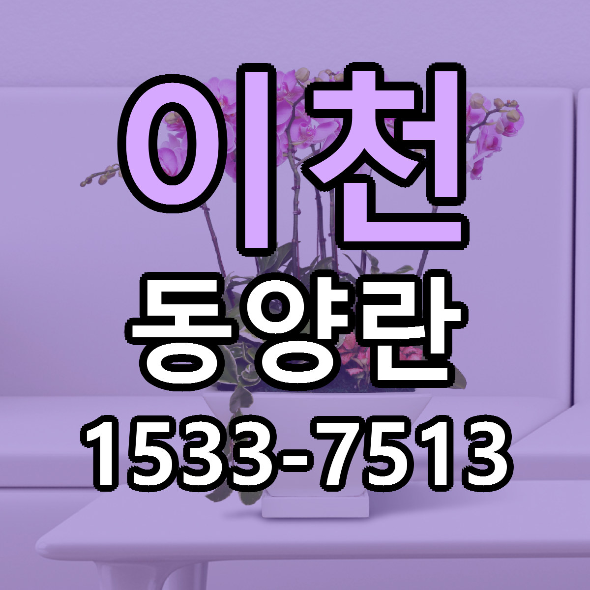이천 동양란 근처꽃집 당일배송 가격 안내