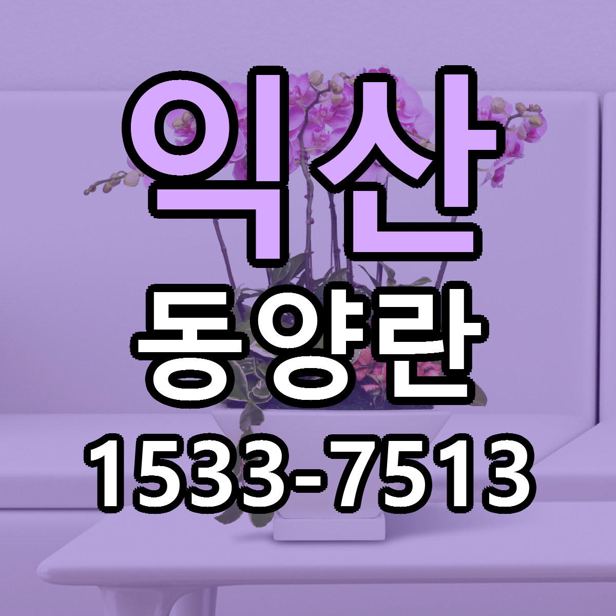 익산 동양란 가격 만족 저렴한곳 리본문구 작성