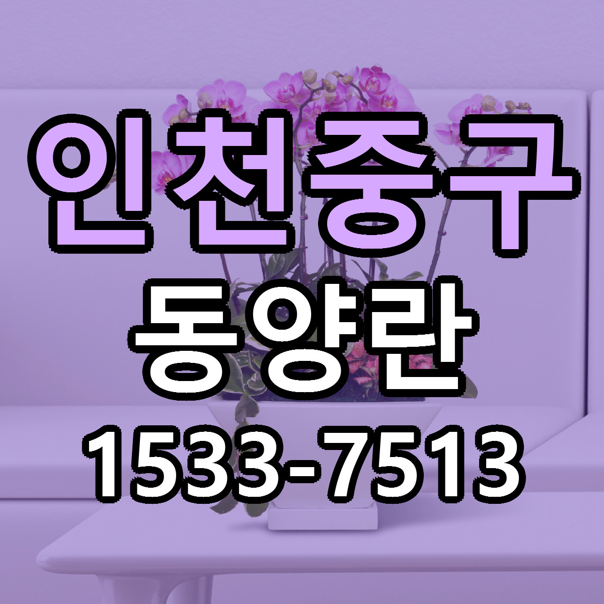 인천중구 동양란 리본문구 서비스 저렴한곳 빠른배송