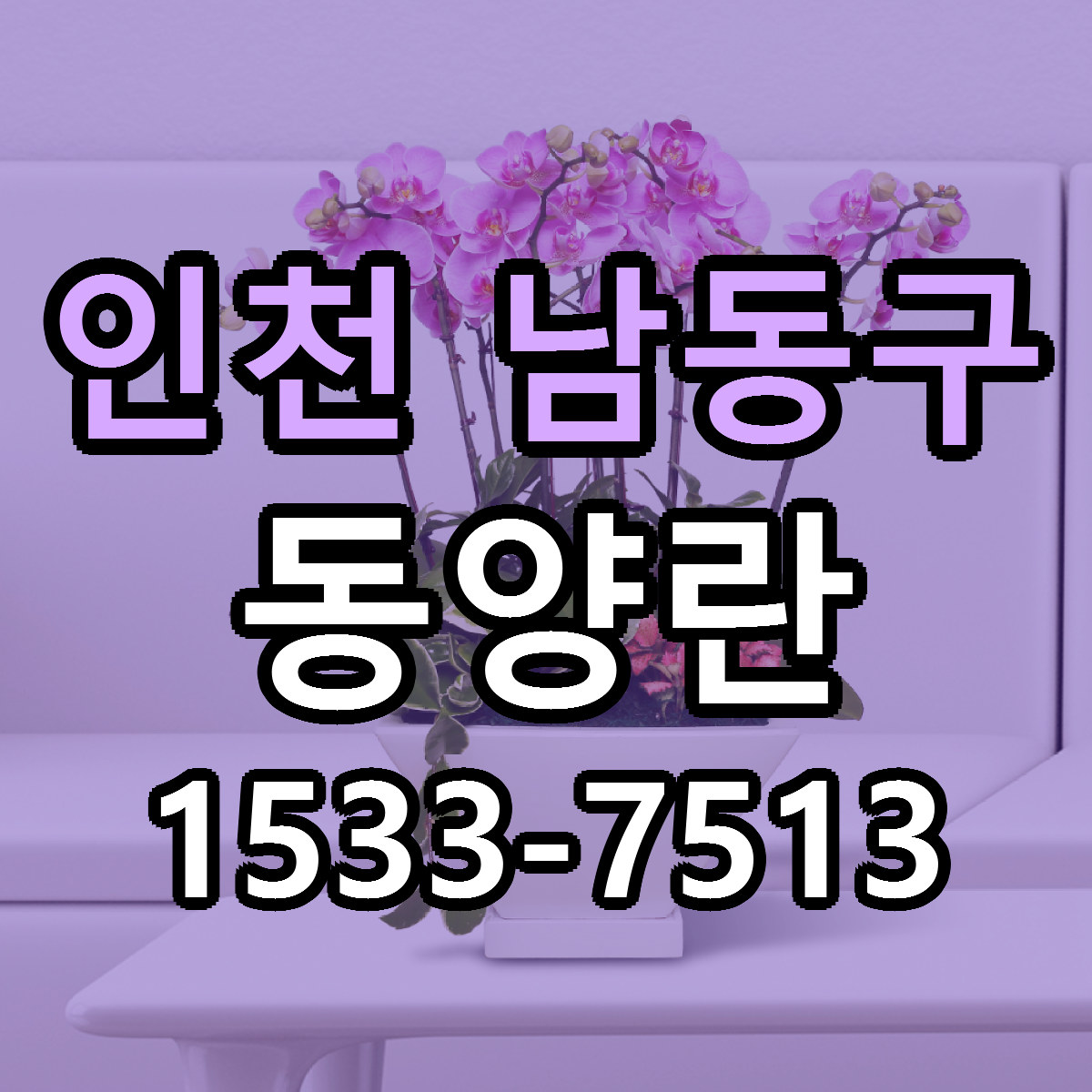 인천 남동구 동양란 가격 만족 저렴한곳 리본문구 작성
