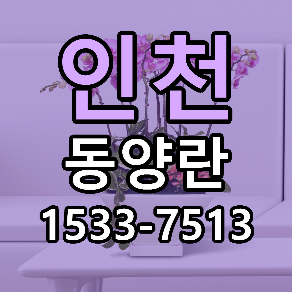 인천 동양란 당일배송 리본문구 빠른배송 서비스