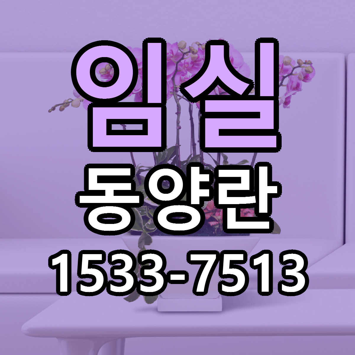 임실 동양란 근처꽃집 당일배송 리본문구 서비스
