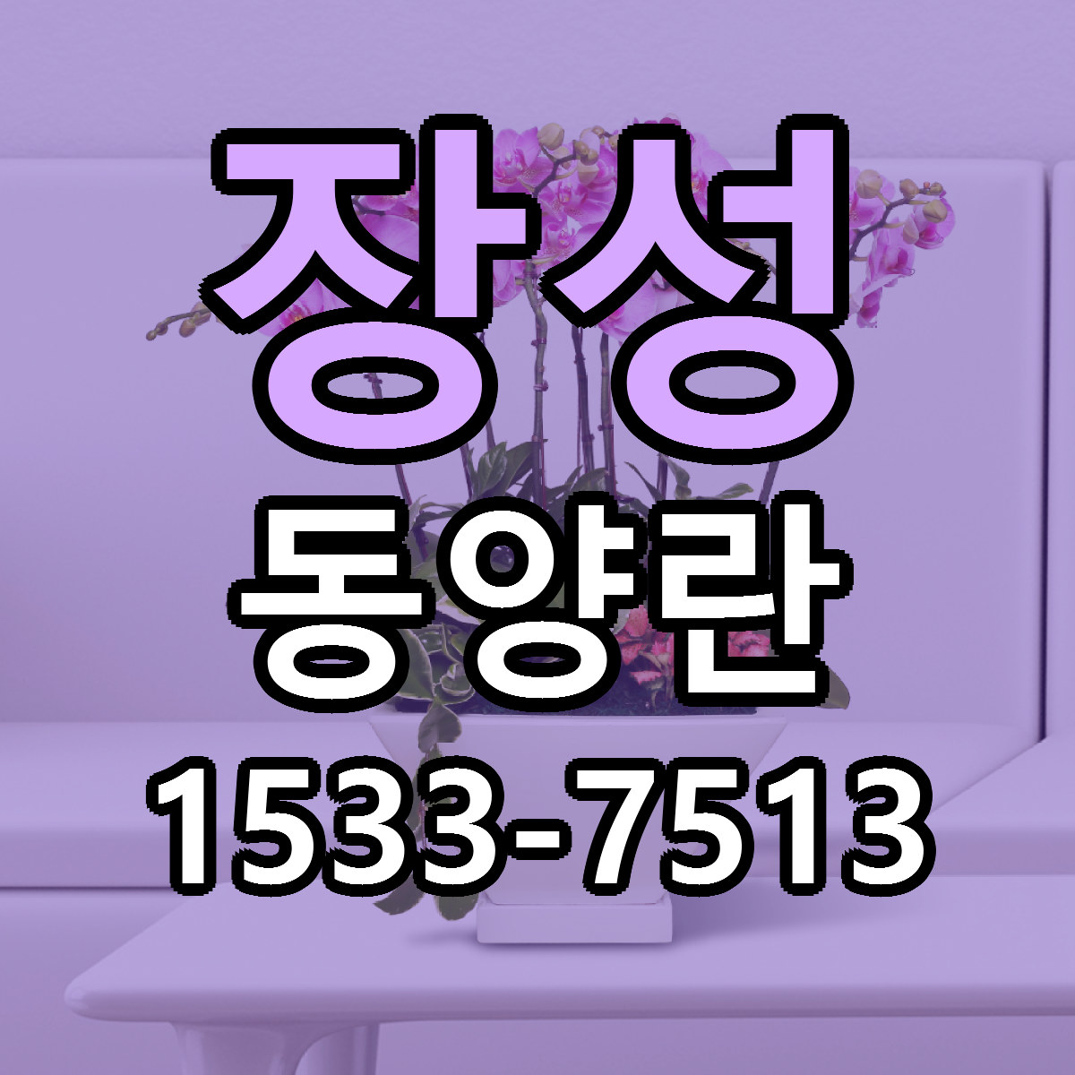 장성 동양란 싼곳 당일배송 빠른배송 추천