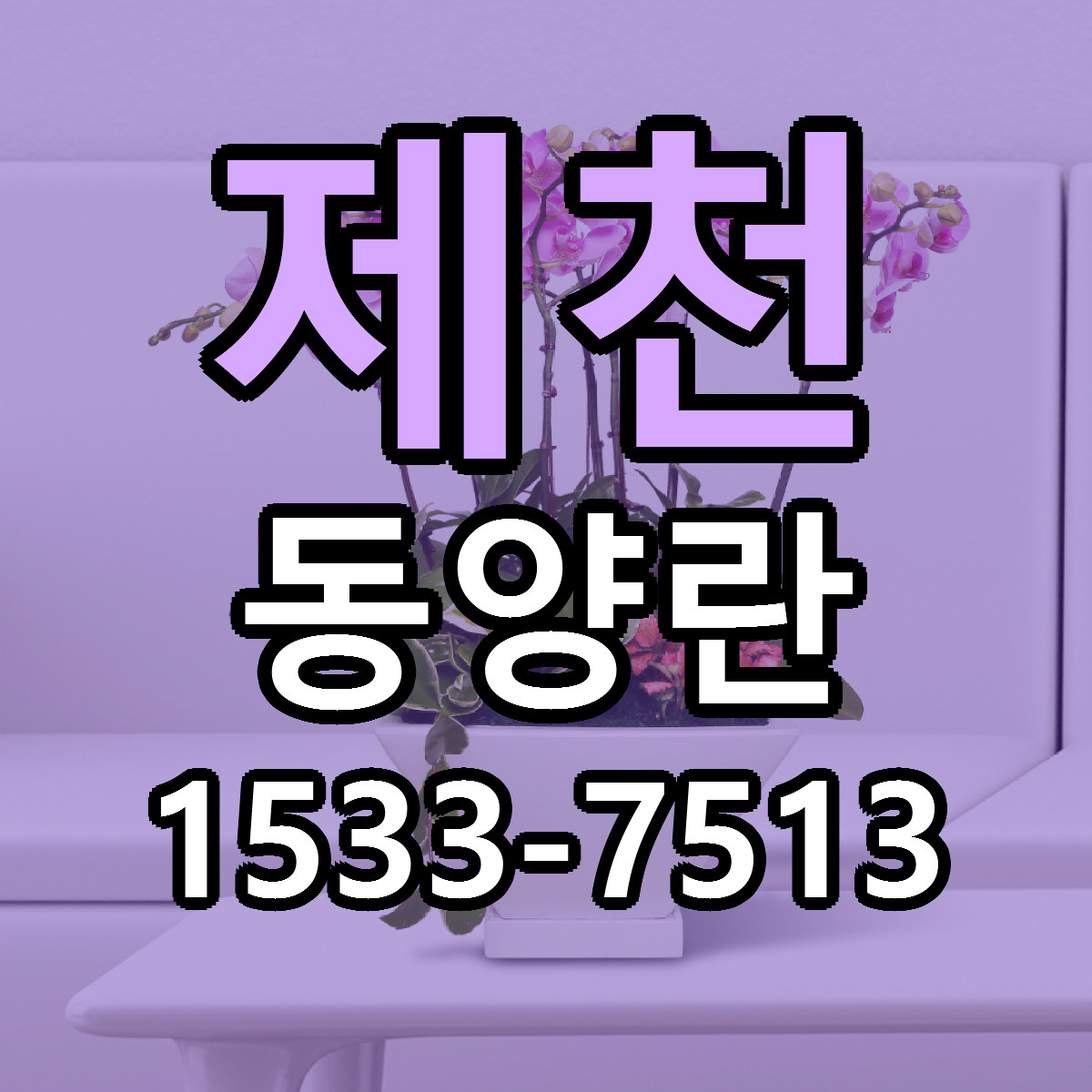 제천 동양란 근처꽃집 당일배송 리본문구 서비스