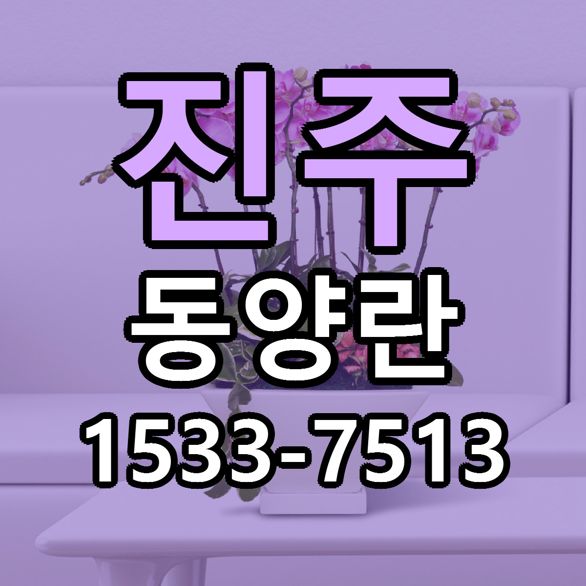 진주 동양란 싼곳 당일배송 리본문구 작성