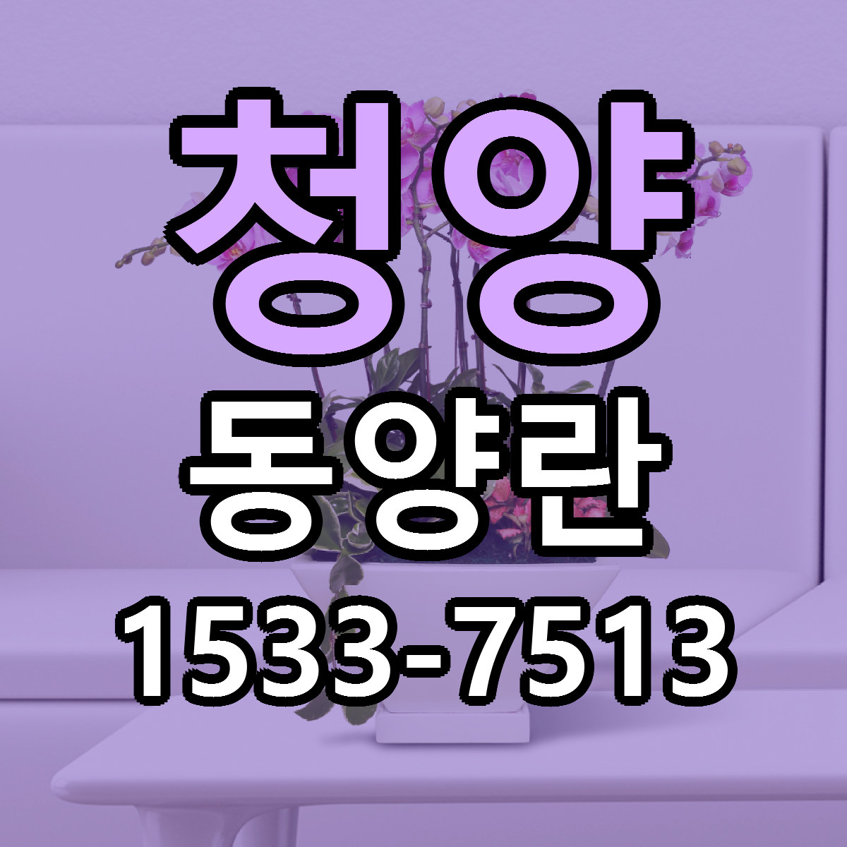 청양 동양란 당일배송 싼곳 리본문구 안내