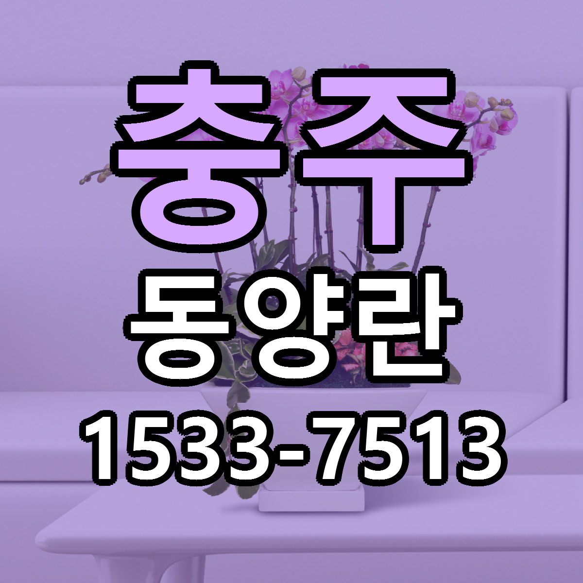 충주 동양란 리본문구 싼곳 빠른배송 예약