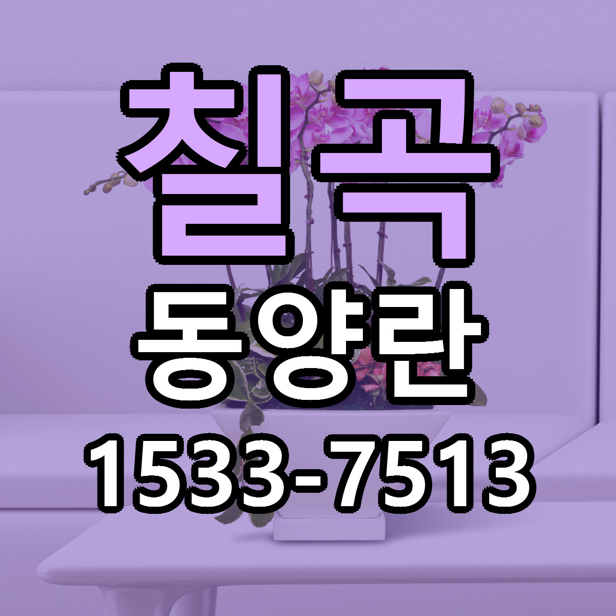 칠곡 동양란 가격 만족 저렴한곳 리본문구 작성