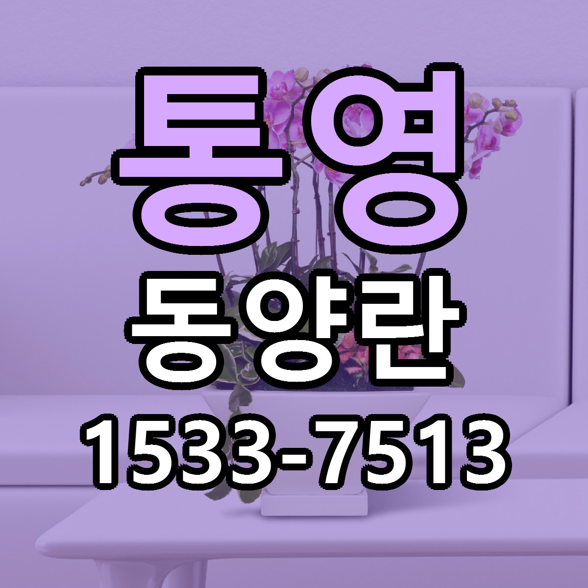 통영 동양란 당일배송 리본문구 빠른배송 서비스