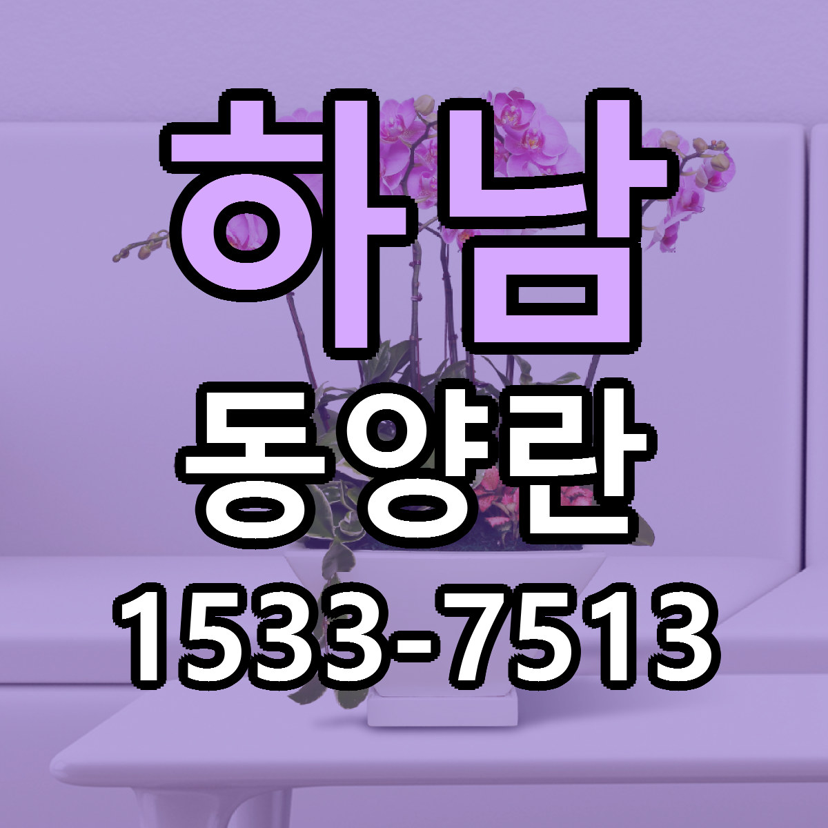 하남 동양란 당일배송 싼곳 리본문구 안내
