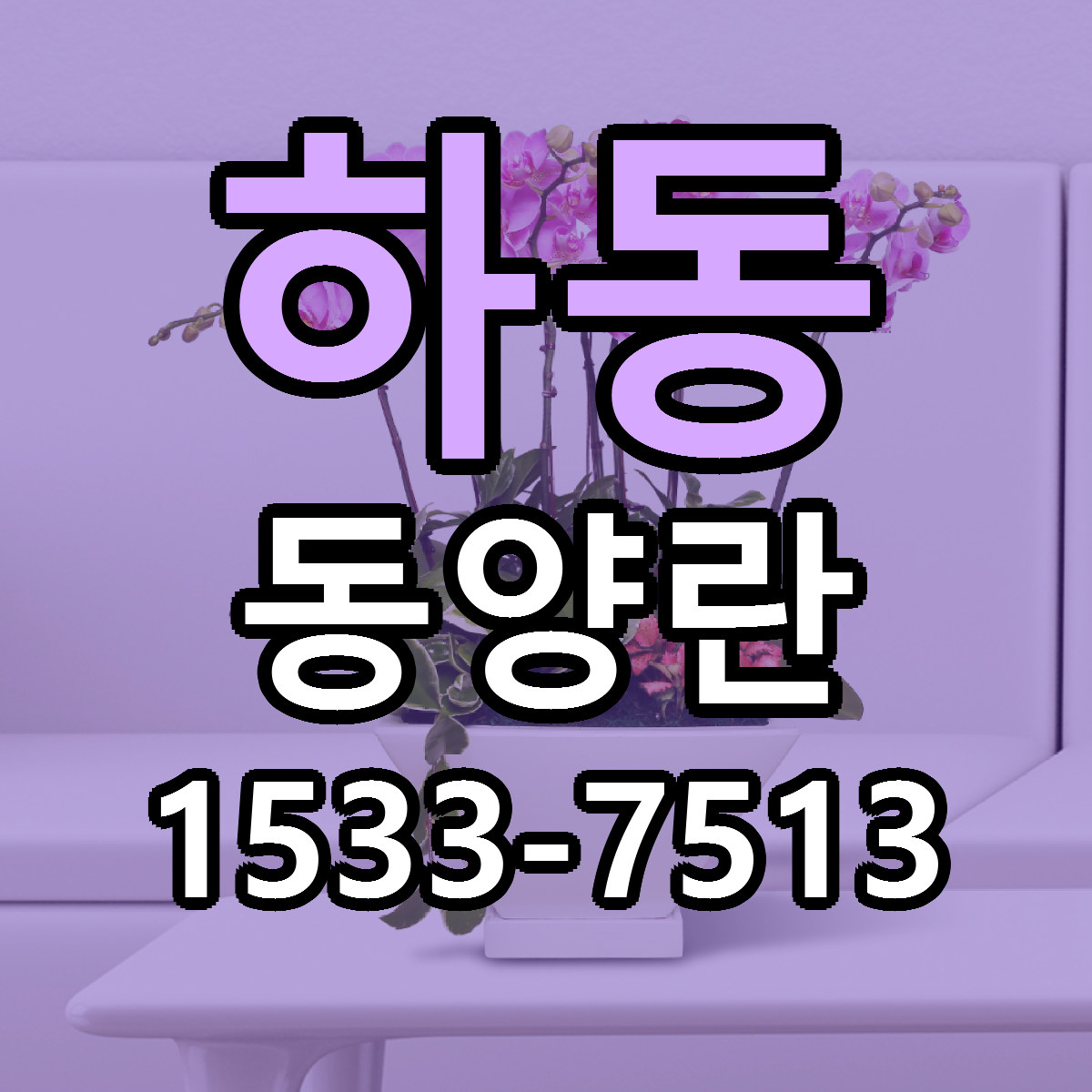 하동 동양란 근처꽃집 싼곳 빠른배송 안내