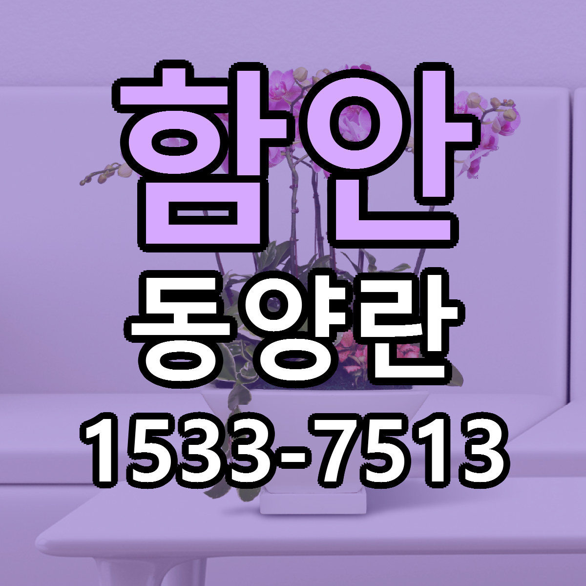 함안 동양란 근처꽃집 당일배송 가격 안내