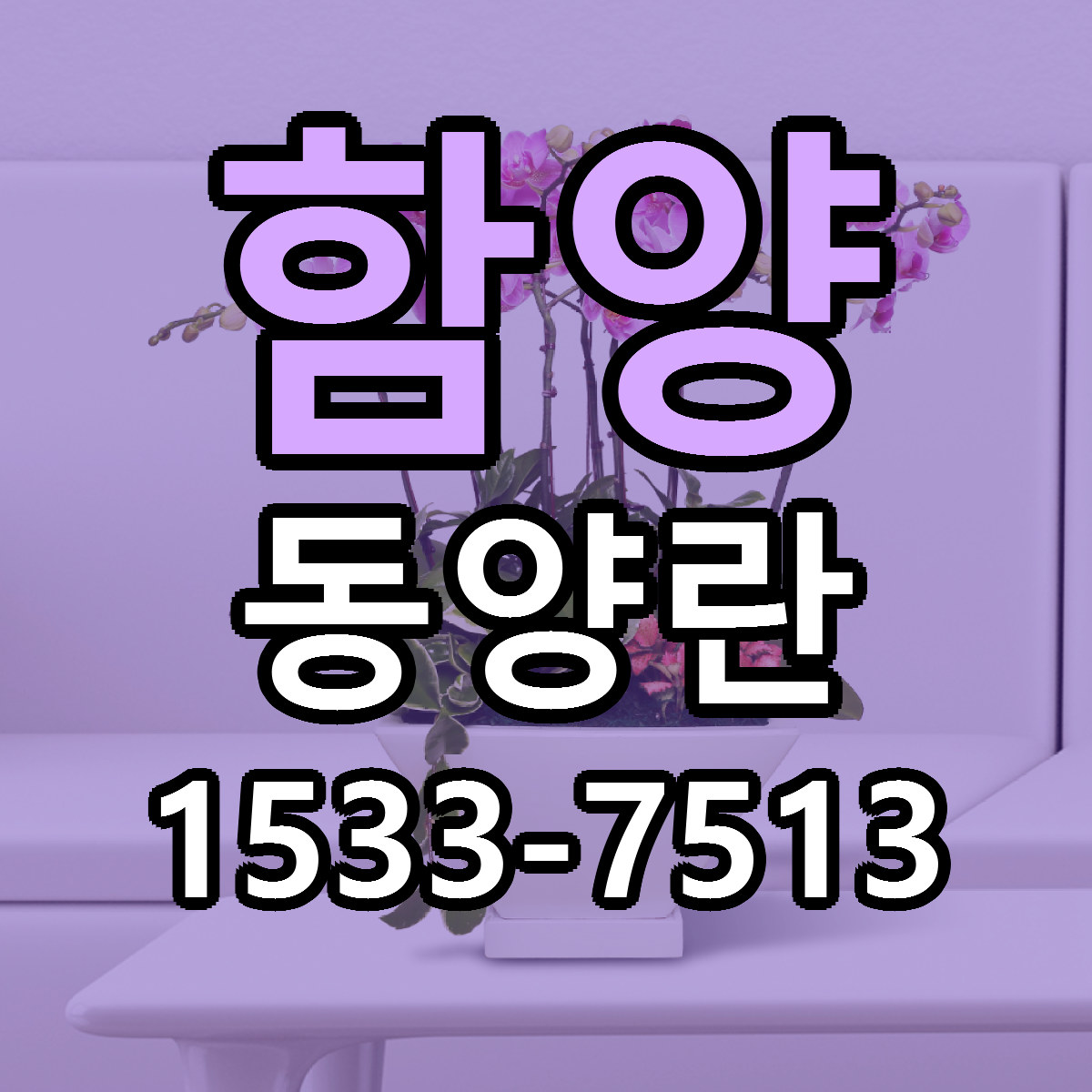함양 동양란 빠른배송 근처꽃집 가격 비교