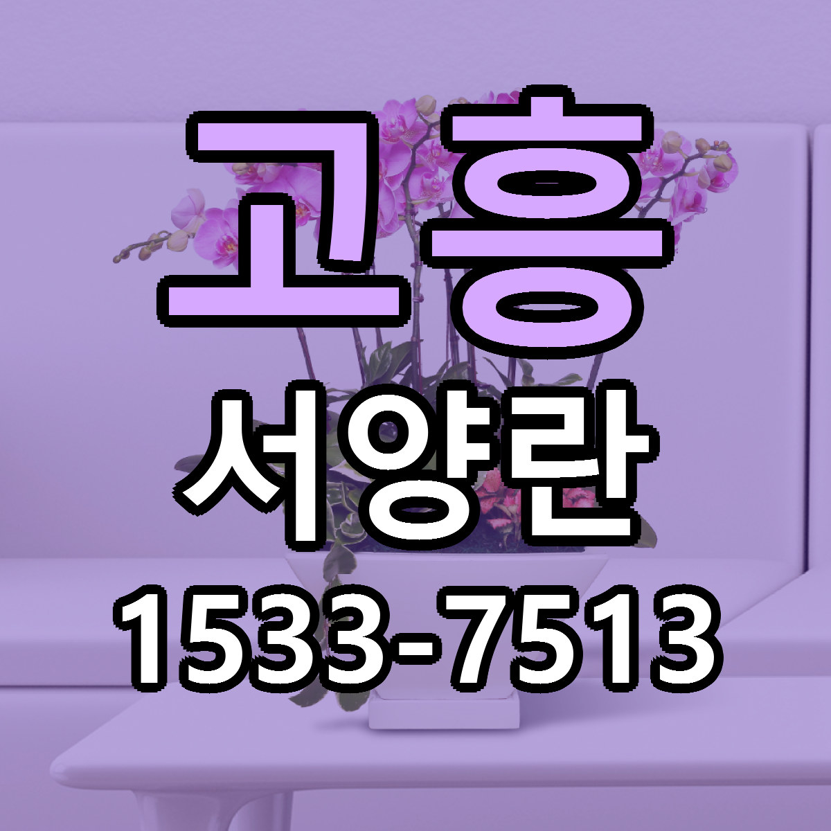 고흥 서양란 당일배송 싼곳 리본문구 안내