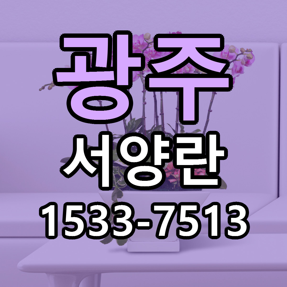광주 서양란 당일배송 리본문구 빠른배송 서비스