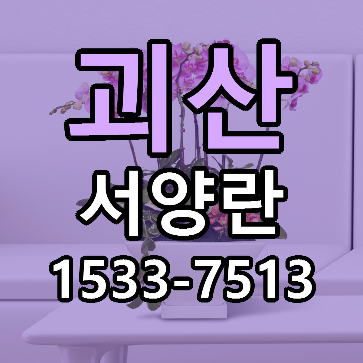 괴산 서양란 근처꽃집 빠른배송 가격 문의